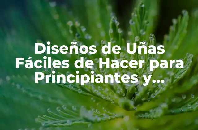 Diseños de Uñas Fáciles de Hacer para Principiantes y Expertos