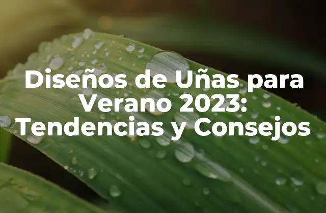 Diseños de Uñas para Verano 2023: Tendencias y Consejos 2 Tendencias de Diseño de Uñas para Verano 2023