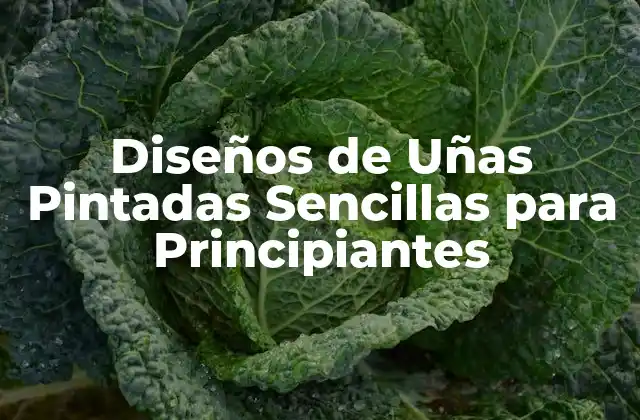 Diseños de Uñas Pintadas Sencillas para Principiantes 2 Materiales Necesarios para Diseños de Uñas Pintadas Sencillas