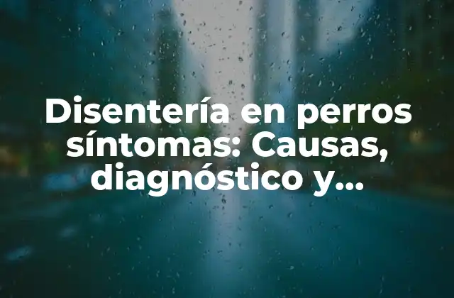 Disentería en Perros Síntomas: Causas, Diagnóstico y Tratamiento de la Diarrea en Perros