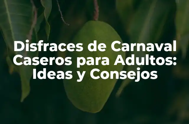 Disfraces de Carnaval Caseros para Adultos: Ideas y Consejos 2 ¿Por qué Especializar en Disfraces Caseros para Adultos?