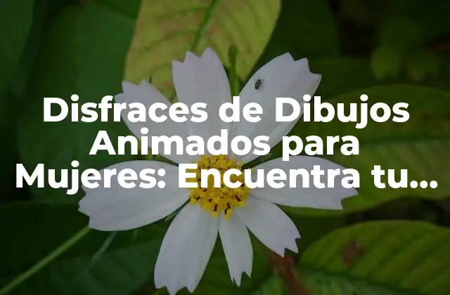 Disfraces de Dibujos Animados para Mujeres: Encuentra Tu Personaje Favorito