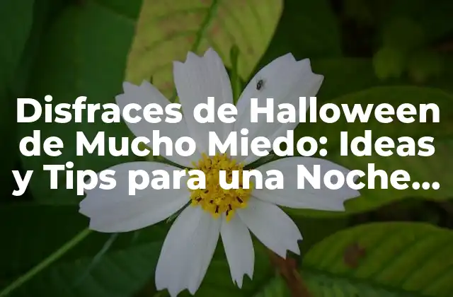 Disfraces de Halloween de Mucho Miedo: Ideas y Tips para una Noche de Terror