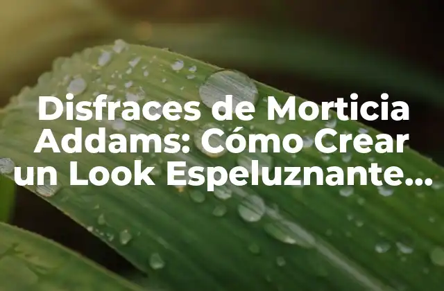 Disfraces de Morticia Addams: Cómo Crear un Look Espeluznante y Elegante