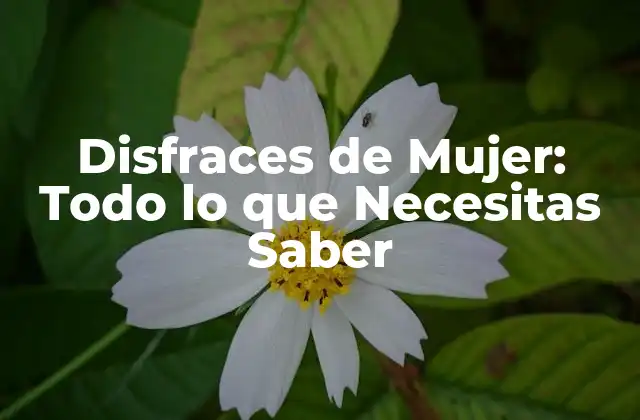 Disfraces de Mujer: Todo Lo que Necesitas Saber
