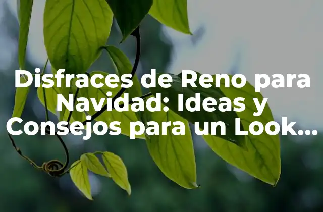 Disfraces de Reno para Navidad: Ideas y Consejos para un Look Único