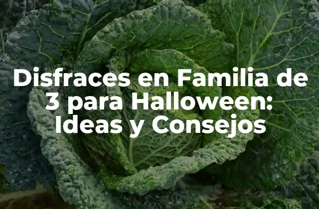 Disfraces en Familia de 3 para Halloween: Ideas y Consejos