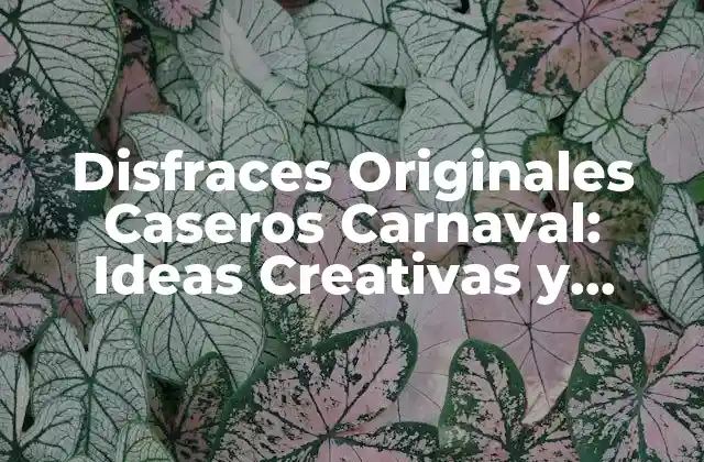 Disfraces Originales Caseros Carnaval: Ideas Creativas y Fáciles 2 Importancia del Disfraz en el Carnaval