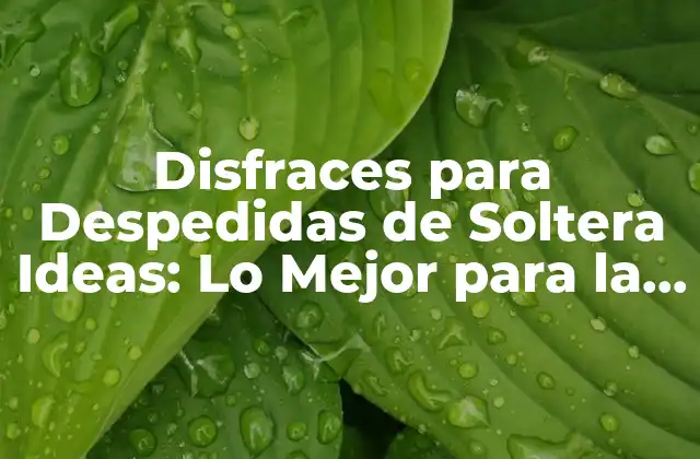 Disfraces para Despedidas de Soltera Ideas: Lo Mejor para la Última Noche de Libertad