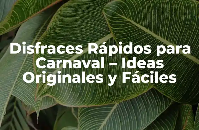 Disfraces Rápidos para Carnaval – Ideas Originales y Fáciles