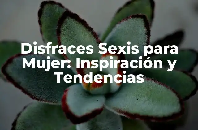 Disfraces Sexis para Mujer: Inspiración y Tendencias 2 Tipos de Disfraces Sexis para Mujer
