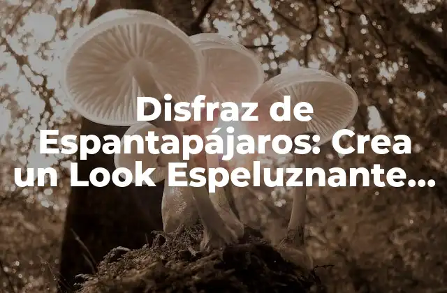 Disfraz de Espantapájaros: Crea un Look Espeluznante Esta Halloween