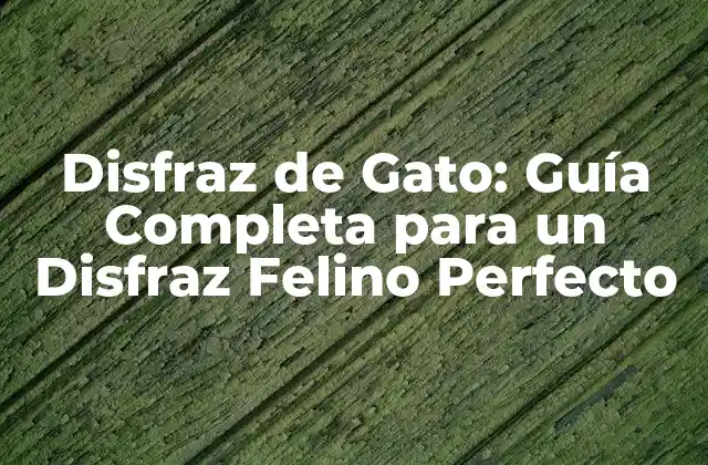 Disfraz de Gato: Guía Completa para un Disfraz Felino Perfecto