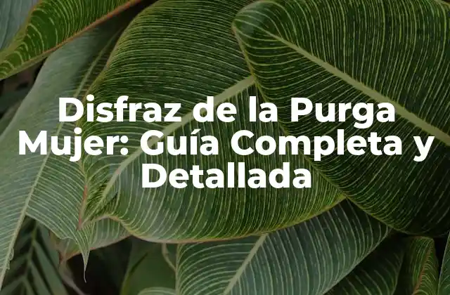 Disfraz de la Purga Mujer: Guía Completa y Detallada