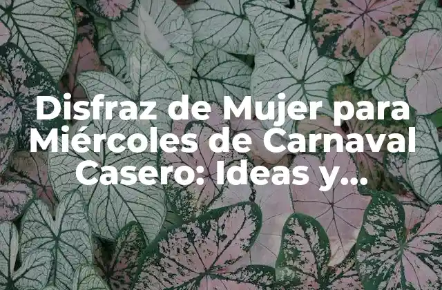 Disfraz de Mujer para Miércoles de Carnaval Casero: Ideas y Consejos