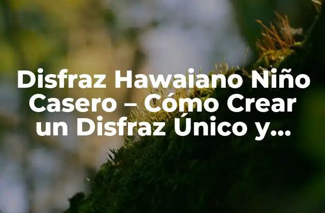 Disfraz Hawaiano Niño Casero – Cómo Crear un Disfraz Único y Divertido