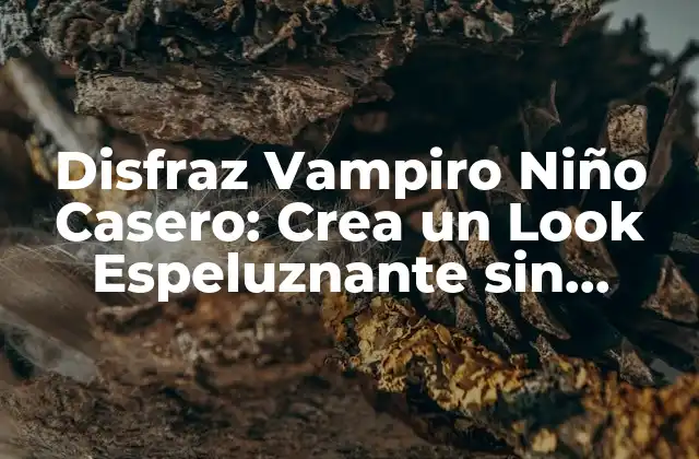 Disfraz Vampiro Niño Casero: Crea un Look Espeluznante sin Gastar una Fortuna