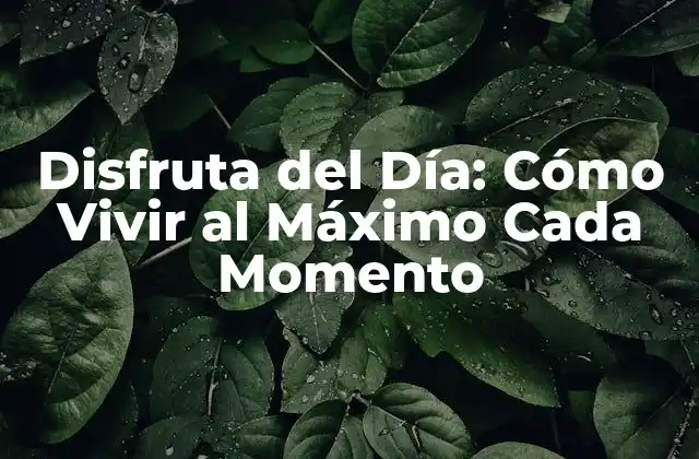 Disfruta Del Día: Cómo Vivir Al Máximo Cada Momento