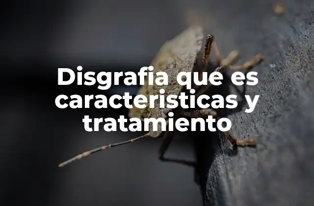 Disgrafia que es Caracteristicas y Tratamiento