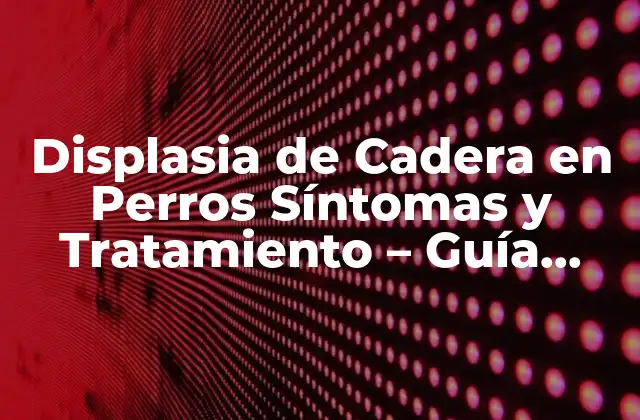 Displasia de Cadera en Perros Síntomas y Tratamiento – Guía Completa