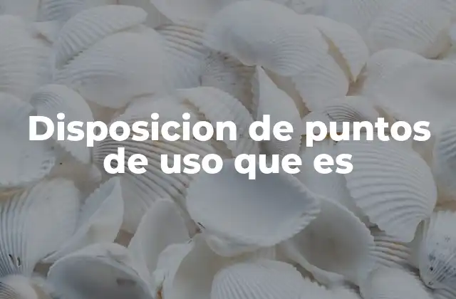 Disposicion de Puntos de Uso que es