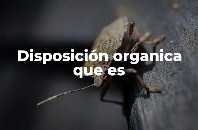 Disposición Organica que es