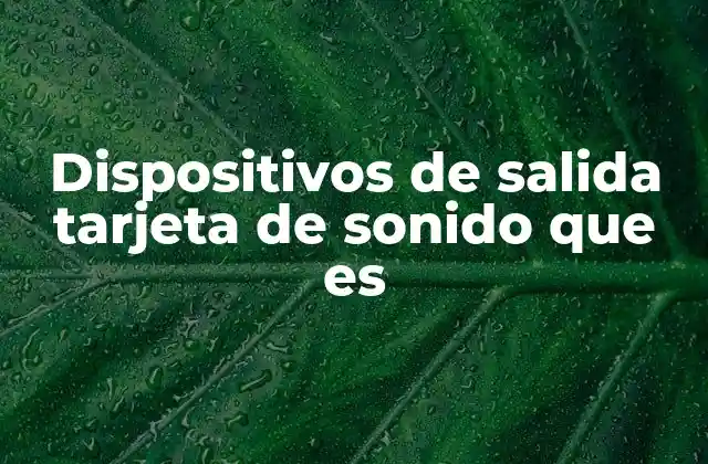 Dispositivos de Salida Tarjeta de Sonido que es 2 La importancia de los componentes de audio en los equipos modernos