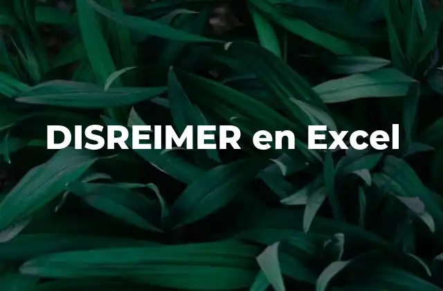 Disreimer en Excel