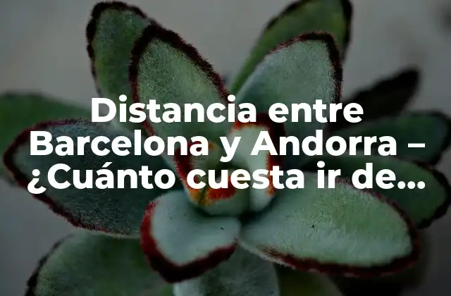 Distancia entre Barcelona y Andorra – ¿cuánto Cuesta Ir de Barcelona a Andorra?