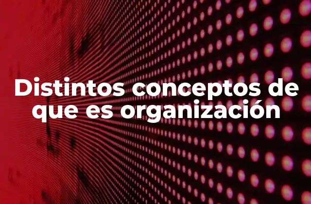 Distintos Conceptos de que es Organización 2 Diferentes formas de organización según el contexto