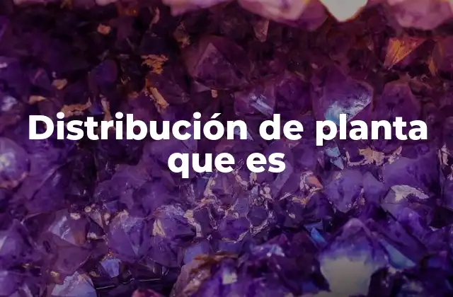 Distribución de Planta que es