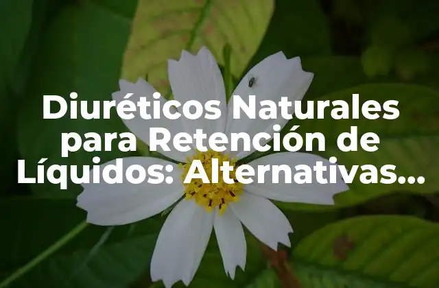 Diuréticos Naturales para Retención de Líquidos: Alternativas Saludables