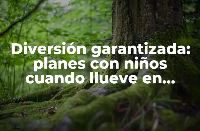 Diversión Garantizada: Planes con Niños Cuando Llueve en Madrid
