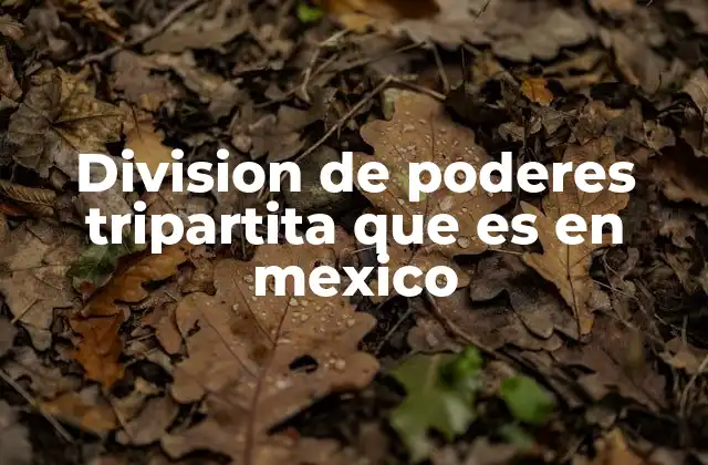 Division de Poderes Tripartita que es en Mexico