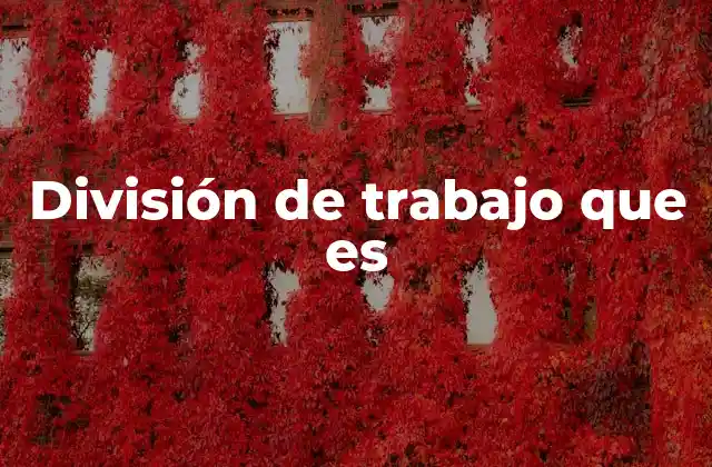 La importancia de la organización laboral