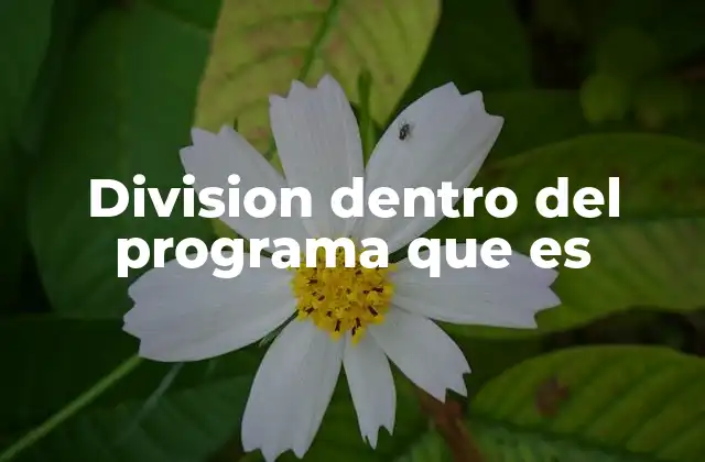 Division Dentro Del Programa que es
