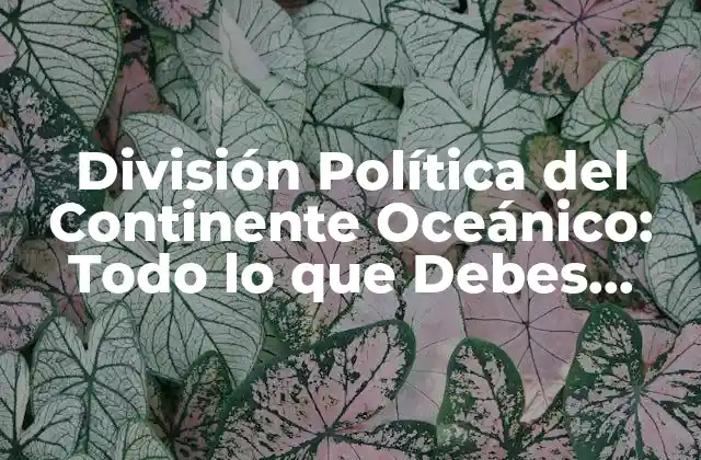 División Política Del Continente Oceánico: Todo Lo que Debes Saber