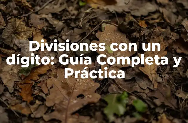 Divisiones con un Dígito: Guía Completa y Práctica