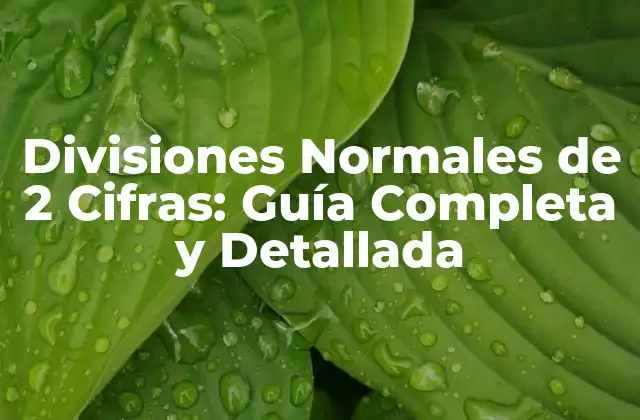 Divisiones Normales de 2 Cifras: Guía Completa y Detallada