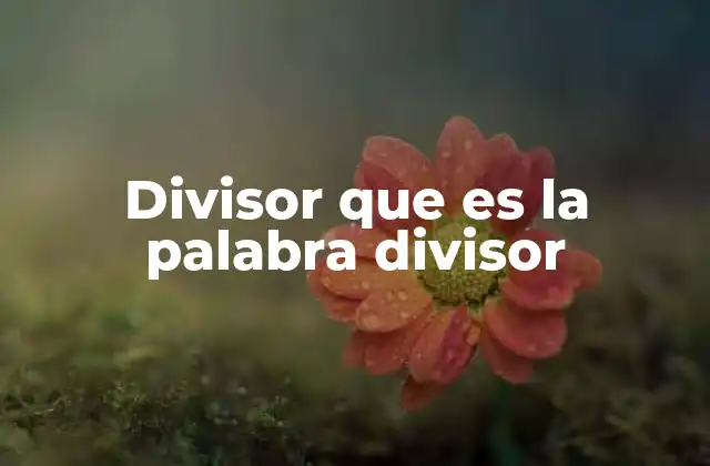 Divisor que es la Palabra Divisor
