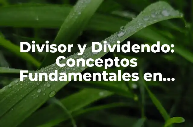 Divisor y Dividendo: Conceptos Fundamentales en Matemáticas