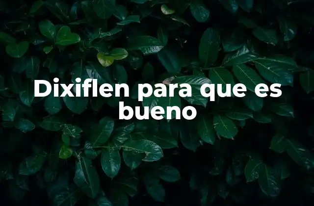 Dixiflen para que es Bueno