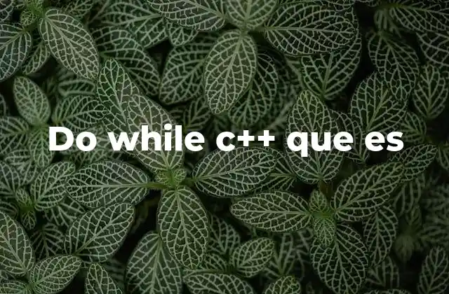 Cómo funciona el do while en C++