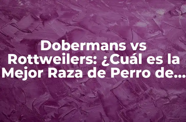 Dobermans Vs Rottweilers: ¿cuál es la Mejor Raza de Perro de Guardia?