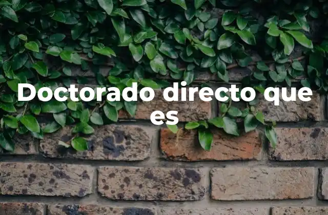 Doctorado Directo que es
