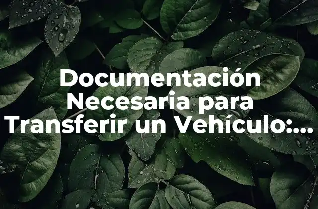 Documentación Necesaria para Transferir un Vehículo: Guía Completa