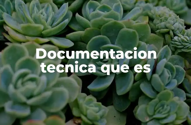 Documentacion Tecnica que es