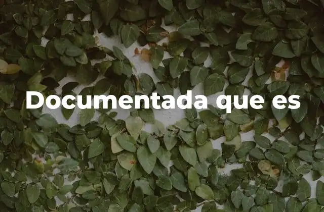 Documentada que es