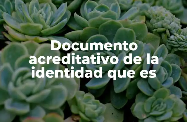 Documento Acreditativo de la Identidad que es