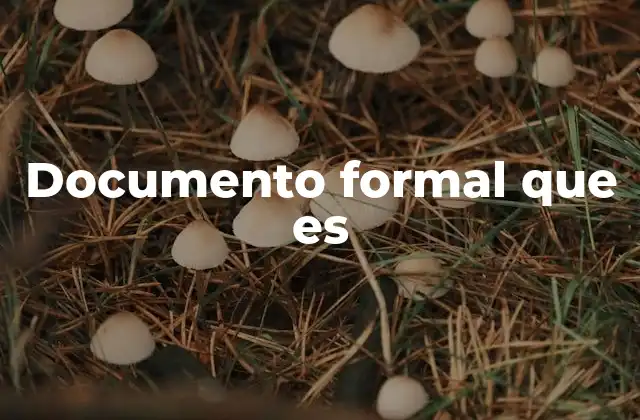 Documento Formal que es